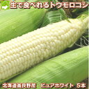 生で食べれる 白いとうもろこし 北海道富良野産 ピュアホワイ...