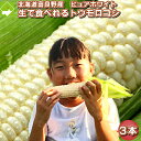 とうもろこし 北海道富良野産 ピュアホワイト 3本入り 送料無料 別途送料が発生する地域あり