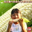 とうもろこし 北海道富良野産 ピュアホワイト 5本入り(L〜2L込) 送料無料 別途送料の発生する地域あり