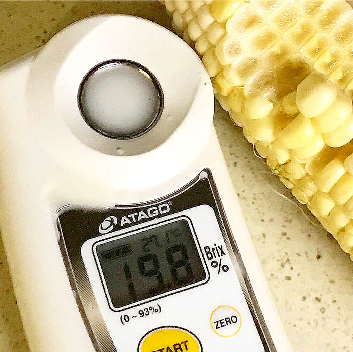 ���ǿ��٤�� �� �Ȥ�����������ԥ奢�ۥ磻�� 10������ M����2L���������ߡ��̳�ƻ�������������̵�������������Բġ�8��20������9��30���ޤǤ�����