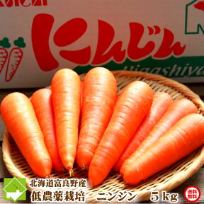 にんじん 北海道富良野産　低農薬栽培　最高級フルーツニンジン　5kg（SサイズからLサイズ込）　【送料無料】