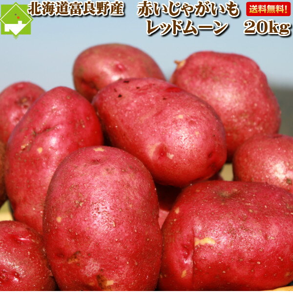 じゃがいも　北海道　富良野産　レッドムーン　Sサイズ　20kgのサムネイル