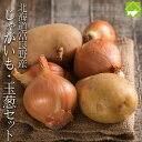 たまねぎ じゃがいも 送料無料 10kg 北海道富良野産 玉葱・じゃがいもセット10kg以上 送料無料
