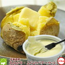 北海道富良野産　ジャガバターセット　（北あかり10kg・富良野バター1個）【送料無料】