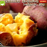 じゃがいも 送料無料　北海道　富良野産　希少なジャガイモ　レッドムーン 5kg
