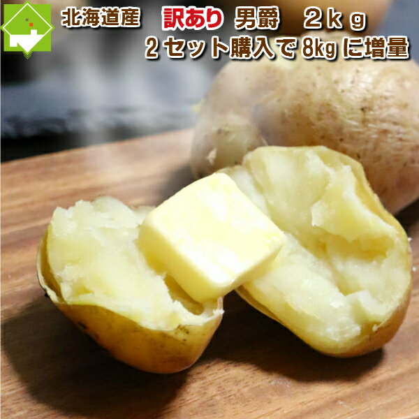 2セット購入で2セットおまけ!じゃがいも 北海道産 男しゃく 訳あり 2kg 送料無料