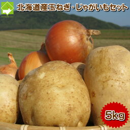 玉ねぎ じゃがいも 5kgセット 送料無料 北海道富良野産 別途送料が発生する地域あり