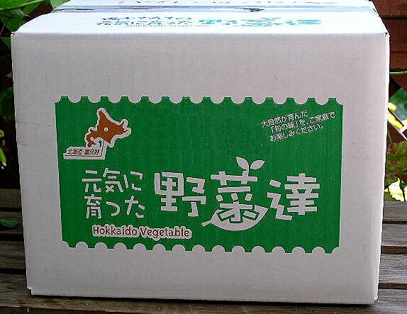 北海道富良野産　玉ねぎ・じゃがいもセット Lサイズ以上 5kg以上！ 【送料無料】