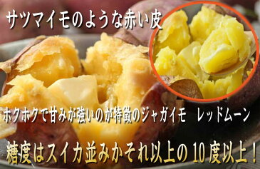 赤いじゃがいも　北海道富良野産　訳あり　レッドムーン10kg【送料無料】　 【RCP】【10P03Dec16】