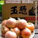 2セット購入で4kg増量 たまねぎ 北海道富良野産低農薬であま〜い 玉葱 3kg(15玉前後) 送料無料 【10P03Dec16】 2セット購入で4kg増量 たまねぎ 北海道富良野産低農薬であま〜い 玉葱 3kg(15玉前後) 送料無料 【10P03Dec16】