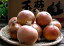 たまねぎ 送料無料 北海道富良野産低農薬であま〜い サラダ玉葱（たまねぎ）　3kg