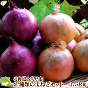 北海道富良野産　玉葱・赤いたまねぎ　アーリーレッドセット　合計4.5kg【送料無料】