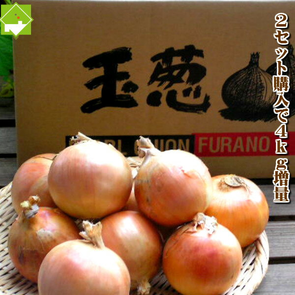 たまねぎ　訳あり　北海道富良野産低農薬であま〜い 玉葱　3kg
