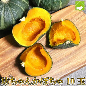 かぼちゃ 送料無料 北海道 富良野産　坊ちゃんかぼちゃ 10玉 別途送料が発生する地域あり