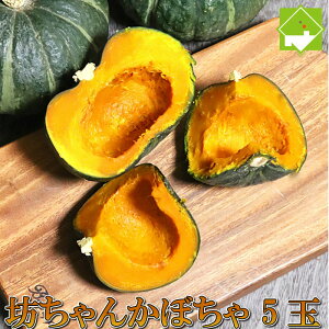 かぼちゃ ハロウィン 北海道富良野産　坊ちゃんかぼちゃ 5玉 送料無料 別途送料が発生する地域あり
