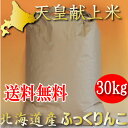 平成30年 北海道産 冷めても美味しいお米 ふっくりんこ 玄...