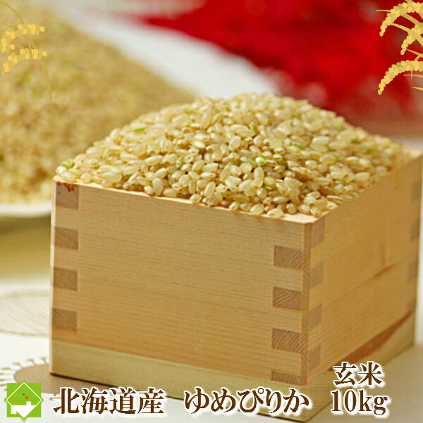 玄米 10kg 送料無料 北海道産　ゆめぴりか　10kg