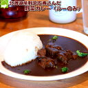 北海道野菜カレールー 北海道産の野菜100%使用! 500g×2パック入り(4食入り)