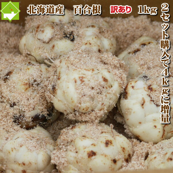 ゆり根北海道富良野産訳あり百合根1kg送料無料 2セット購入で2セットおまけの4kg