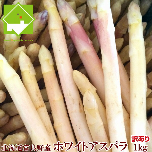 アスパラガス 北海道富良野産 訳あり ホワイトアスパラ 1kg