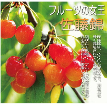 【母の日限定】山形県産　さくらんぼ　佐藤錦　Lサイズ24粒　カーネーション付き【送料無料】母の日 ギフト【10P03Dec16】