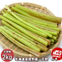 山菜 送料無料 北海道ふらの産 天然 無農薬 ふき 2kg 別途送料が発生する地域があります