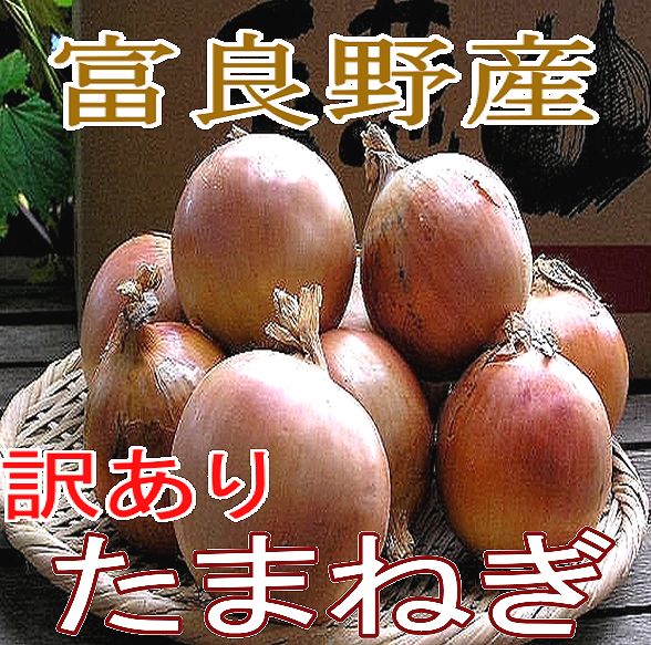 生食可能　甘い玉ねぎ（ワケアリ）北海道富良野産　低農薬であま〜い玉葱（たまねぎ）訳あり　4.5kg　10P21dec10