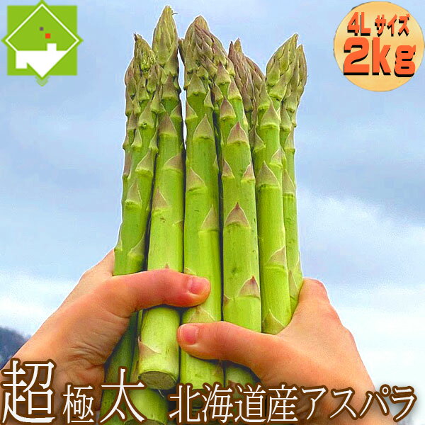 アスパラガス アスパラ 北海道産 送料無料 ハウス栽培 富良野産 グリーンアスパラ 超極太 4Lサイズ 2kg(約40本)別途送料が発生する地域あり