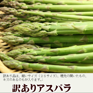 アスパラガス　グリーン　訳あり　800g（S〜L込）　北海道ふらの産【生】で食べられる 送料無料 別途送料が発生する地域あり