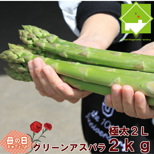 遅れてゴメンネ　母の日ギフト カーネーション付き！ハウス栽培　北海道富良野産　グリーンアスパラ　2Lサイズ　2kg