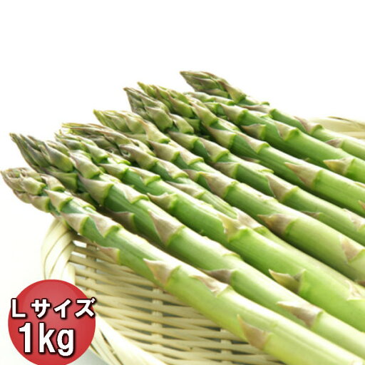 グリーンアスパラ 北海道 富良野産 Lサイズ以上 1kg グリーンアスパラ 北海道 富良野産 Lサイズ以上 1kg