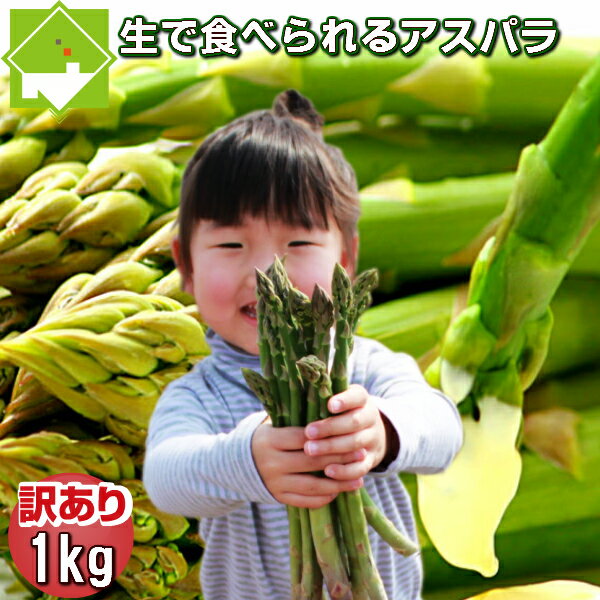 ѥ饬  ̳ƻ꡼󥢥ѥ顡ꡡSL 1kg ̵