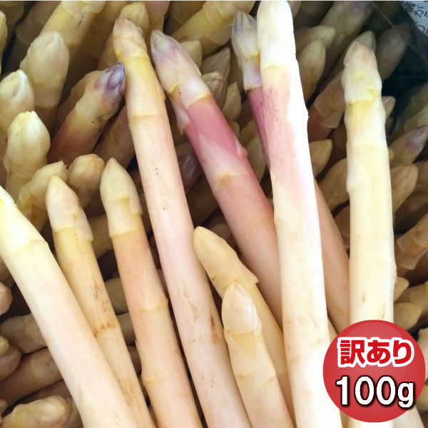 訳あり 北海道産ホワイトアスパラガス　Sサイズ100g