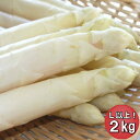 【ご予約販売】北海道富良野産　高級食材ホワイトアスパラ　最高品質秀品　Lサイズから3L　2kg　【10P03Dec16】