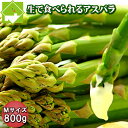 グリーン アスパラガス 北海道富良野産 Mサイズ800g 送料無料 別途送料が発送する地域あり