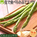 生で食べれるアスパラガス 北海道 送料無料 生で食べれる グリーンアスパラ　Mサイズ　1kg　北海道富良野産 ハウス栽…