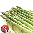 【ご予約販売】ハウス栽培 北海道富良野産 グリーンアスパラ Lサイズ 100g 【10セット購入で送料無料】