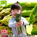 アスパラ 北海道ふらの産 訳あり スイートアスパラガス 800g 送料無料 別途送料が発生する地域あり