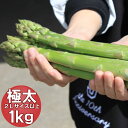 アスパラ　グリーンアスパラガス　北海道富良野産　極太　2Lサイズ　1kg　ハウス栽培 送料無料