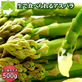 北海道富良野産　グリーンアスパラガス　最高級秀品（Sサイズ100g） 【お中元ギフト】【10P03Dec16】