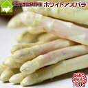 訳あり 北海道産ホワイトアスパラ Lサイズ100g