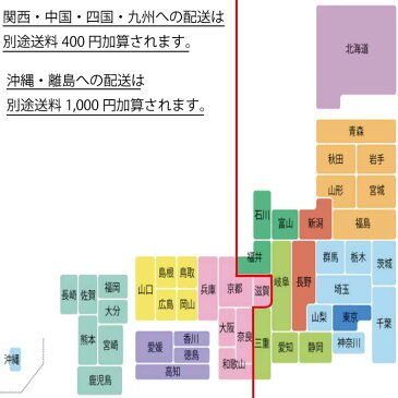 生で食べれるとうもろこし　北海道ふらの産　恵味　2Lサイズ 10本入り 送料無料　別途送料が発生する地域あり