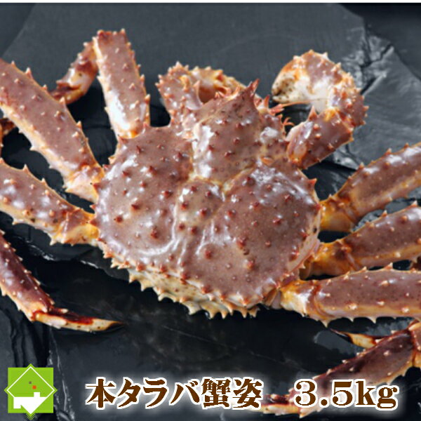 超特大！　本タラバ蟹（たらば蟹）オス　3．5kg【送料無料】　『ボイル・活　選択可能』