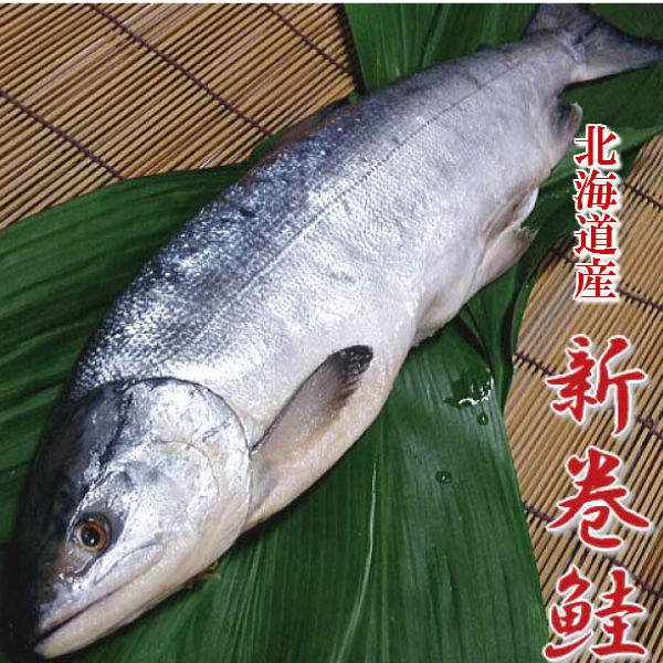 北海道産 新巻鮭 1匹 約1.5kg 送料無料 別途送料が発生する地域あり
ITEMPRICE