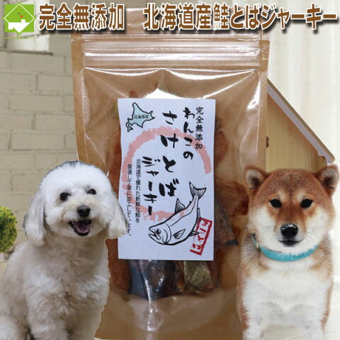 ペットフード 犬 ドックフード 犬用 北海道産 無添加 鮭トバ ジャーキー 40g 3個入り ペット用 送料無料　メール便配送