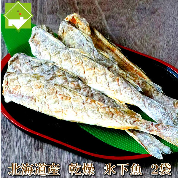 こまい 北海道産 氷下魚 コマイ 干し カンカイ 170g×2袋 送料無料 珍味 おつまみ メール便発送