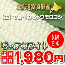 北海道富良野産 白い とうもろこし 訳あり(わけあり)ピュア...