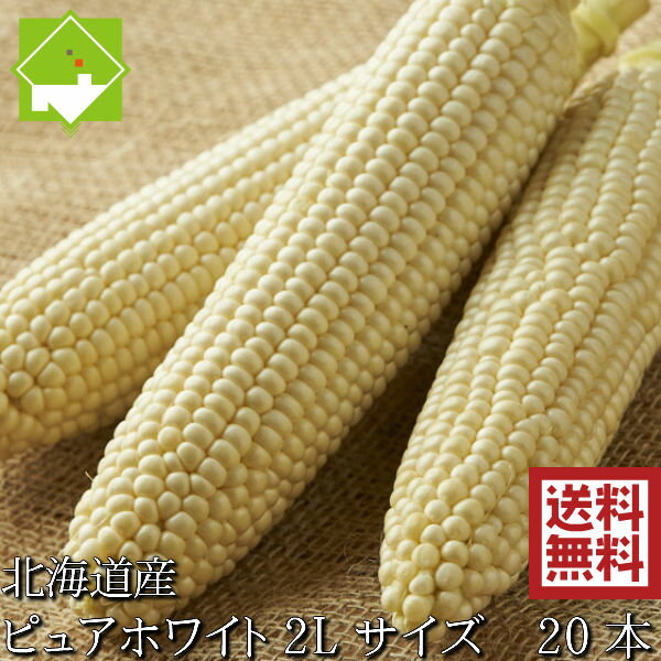 生で食べれるトウモロコシ 北海道富良野産 ピュアホワイト 20本 Mから2Lサイズ混み 送料無料 別途送料が発生する地域あり