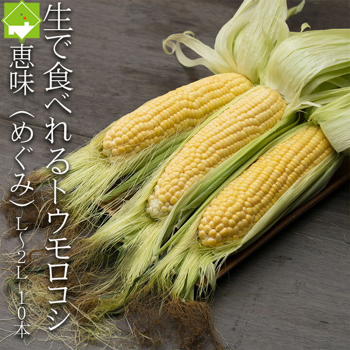 生で食べるフルーツトウモロコシ　北海道富良野産 　恵味　Lから2Lサイズ混み　10本　送料無料　別途送料のかかる地…