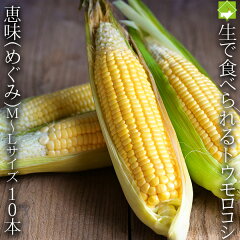 https://thumbnail.image.rakuten.co.jp/@0_mall/sweet-vegetable/cabinet/megumi/04215909/23mlme.jpg